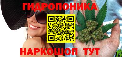 молекула духа Брянск