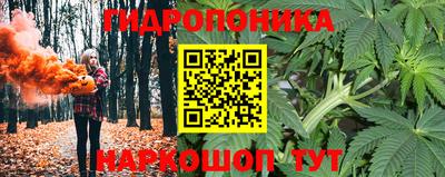 молекула духа Брянск
