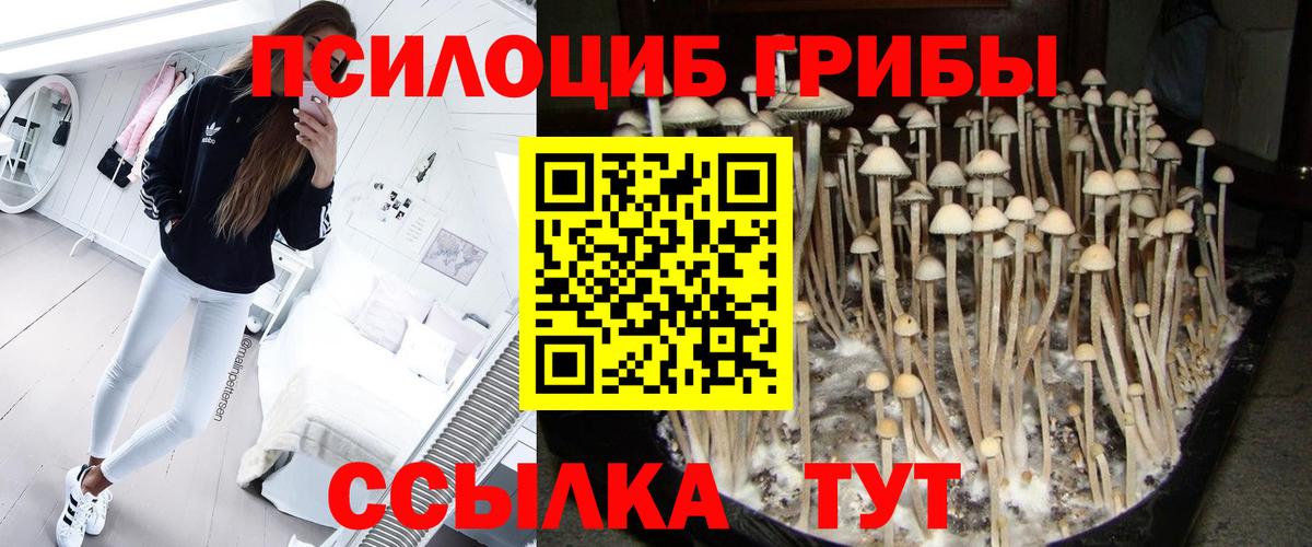 Астрахань  купить   Вход с VPN  Псилоцибиновые грибы прущие грибы 